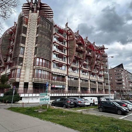 Appartamento Red Riding Hood Belgrado Esterno foto